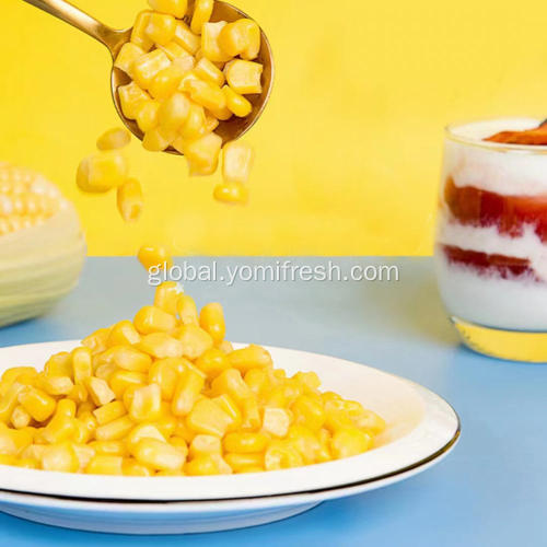Yellow Sweet Corn Organic Corn Kernels Manufactory